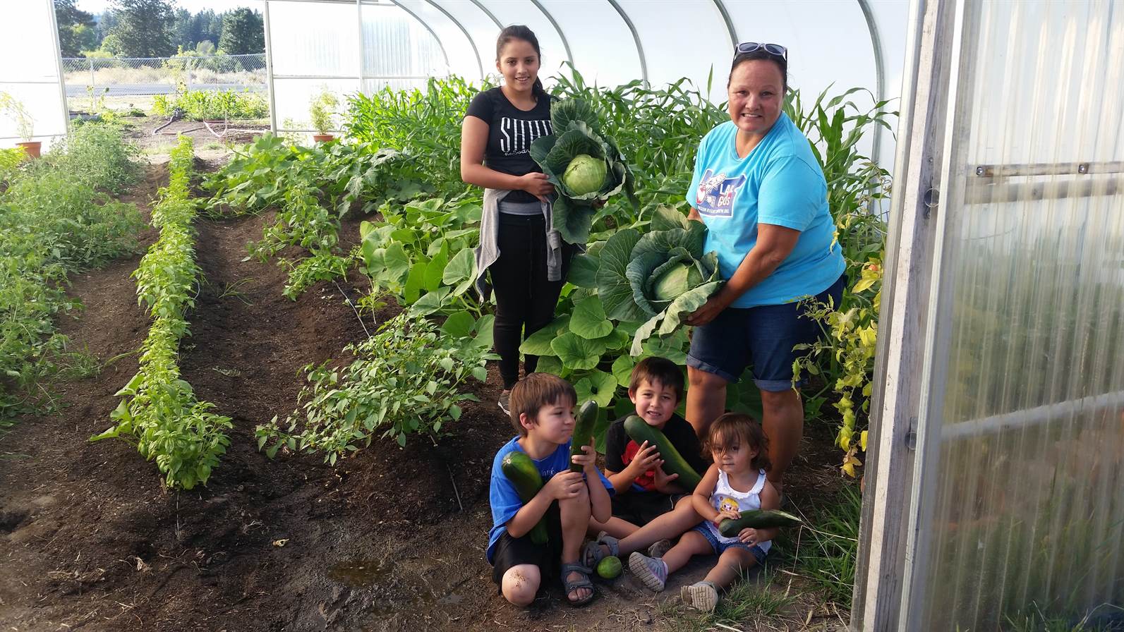 Perri McDaniel, Klamath Tribe's Food Security Program Coordinator, harvesting produce from the newly installed greenhouse in the Chiloquin Garden.