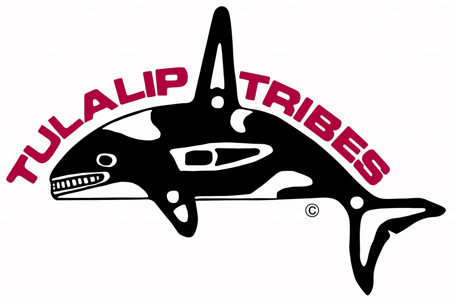 Tulalip Tribe NPAIHB